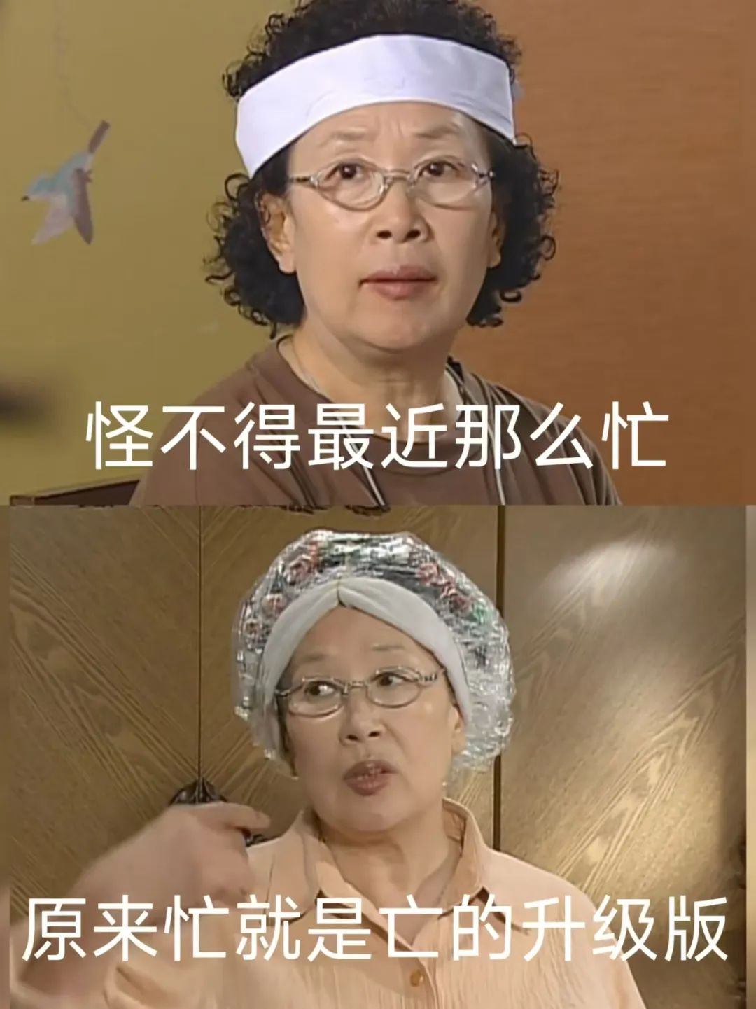 图片[13]-罗文姬女士又火了～小红书上那些爆火的罗文姬文案是怎么做的？-创客云联盟